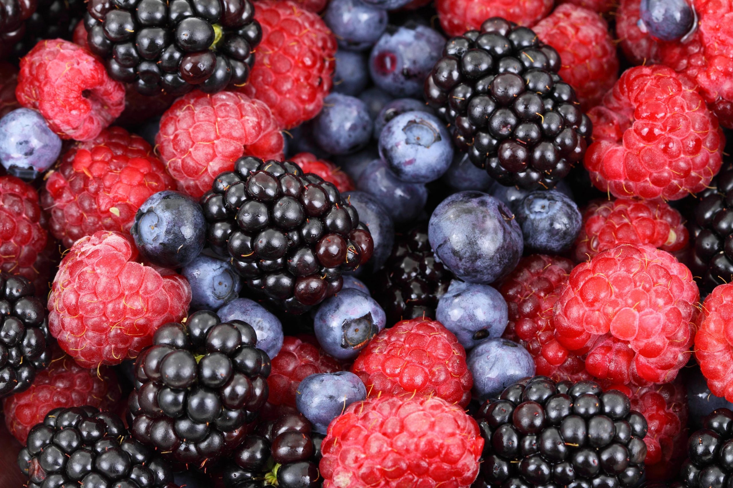 Blackberries-Raspberries-Blueberries-scaled